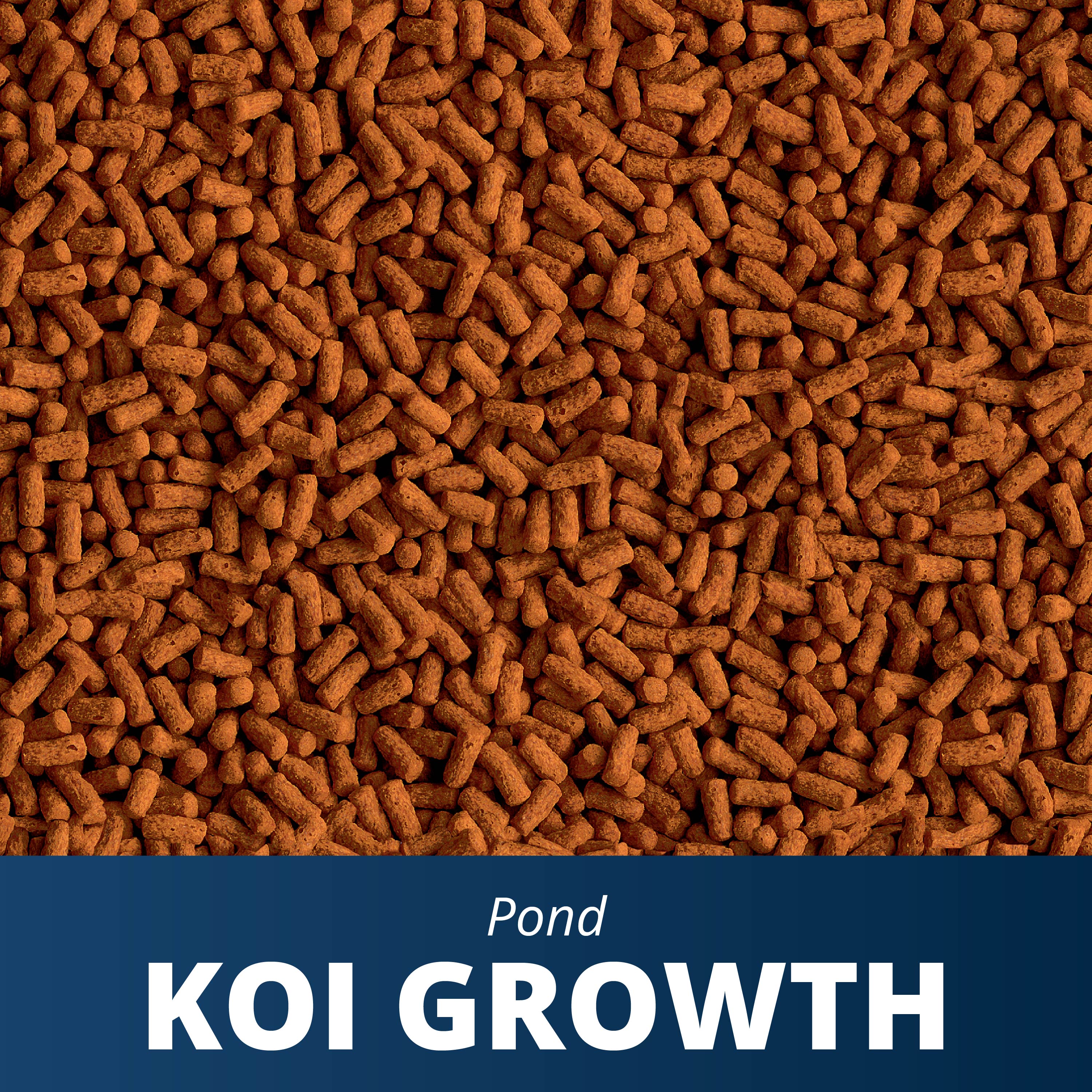 Koi Growth Food Tetra